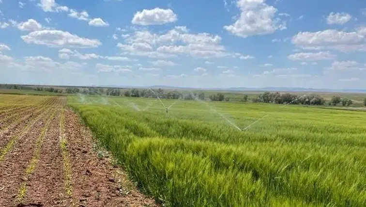 Bakan Yumaklı müjdeyi verdi: Tarımsal sulamada yüzde 70 hibe dönemi başladı!