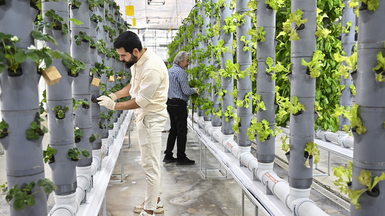 Topraksız dikey tarım uygulamaları enerjide tasarruf ve yüksek verimlilikle geleceğe umut oluyor