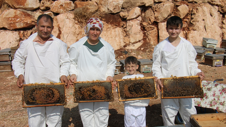 Mersin'de keçiboynuzu balında hasat dönemi başladı
