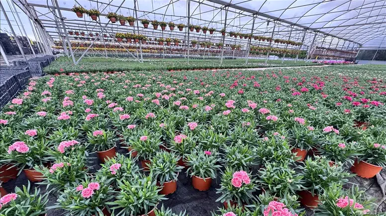 Kurakçıl Peyzajda Yeni Model Arayışı: Üreticilerden Alım Garantili Sistem Talebi!