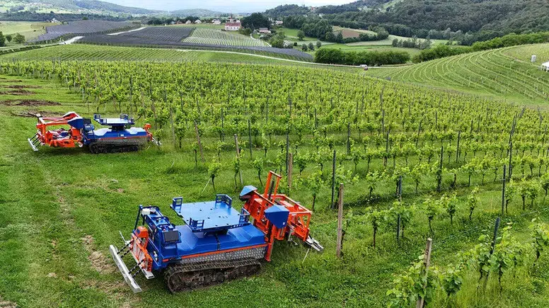 Tarımda dijital çağ: Yapay zeka ve robotik sistemler üretimin geleceğini şekillendiriyor