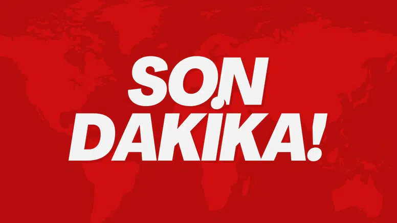 Manisa'da yürütülen operasyonda 61 yasa dışı yaban hayvanı ele geçirildi
