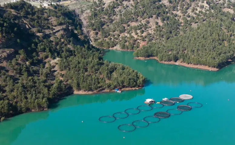 Kahramanmaraş’tan ihracat hamlesi: Somon ve Alabalık dünyaya açılıyor!