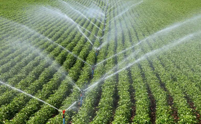 Tarımda Su Yönetimi İçin Yeni Dönem: Merkezi Sistem Kuruluyor!