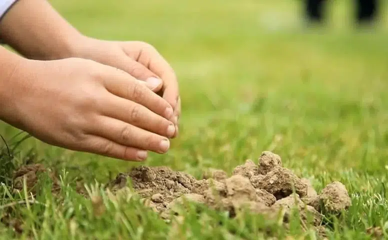 Konya’da Orman Haftası Kapsamında 10 Bin Fidan Dikildi!