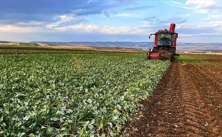 Çiftçiye 8,7 Milyar Liralık Destek: Ödemeler Bugün Başlıyor!