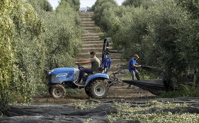 İspanya’dan tarım ve hayvancılığa 877 milyon avroluk destek paketi!