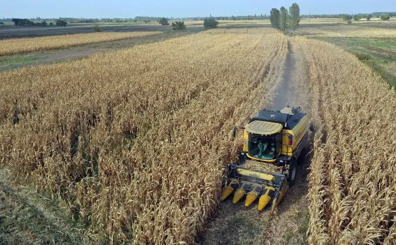Türkiye bereketli bir yıla hazırlanıyor: Hububatta rekor kapıda!