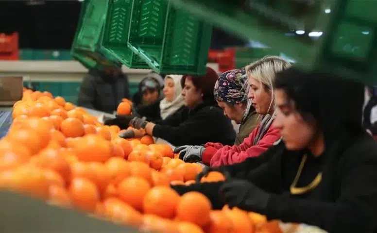 Kadınların ihracattaki gücü artıyor: Pay yüzde 23,5’e çıktı!