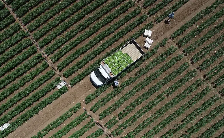 Tarımsal girdi maliyetlerinde şubat ayı tablosu netleşti: Yıllık artış yüzde 31,55!