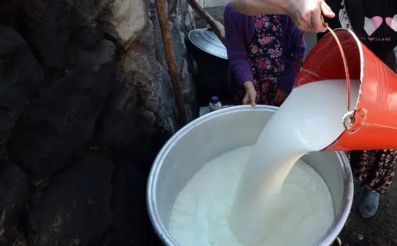 TÜİK şubat ayı süt ve süt ürünleri üretim verilerini yayınladı!