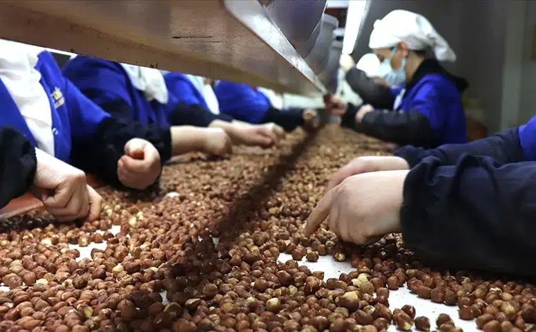 Giresun'da İhracatın Yarısından Fazlası Kadın Eliyle: İşte 81 İlin Kadın Emeği Karnesi!