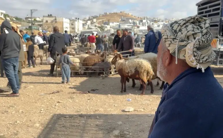 Batı Şeria’da hayvan hırsızlığı kurban pazarlarını vurdu