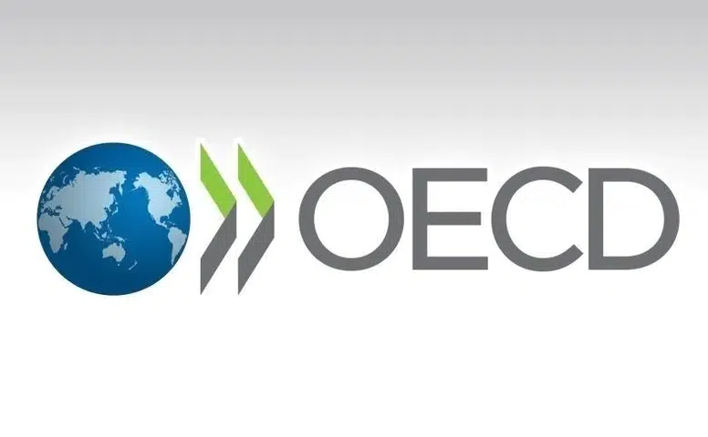 OECD Türkiye'nin potansiyeline dikkati çekti!