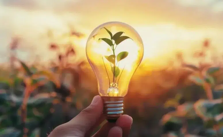 Resmi Gazete’de yayımlandı: 4 yıllık yeşil finans planı devrede!