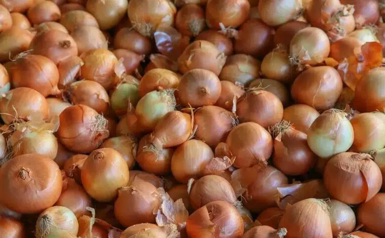 İklim koşulları nedeniyle kuru soğanda gümrük vergisi düştü!