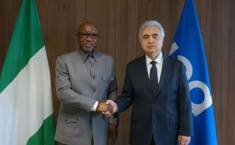 Enerji piyasalarında dev adım: Afrika’nın devi Uluslararası Enerji Ajansı'na katıldı