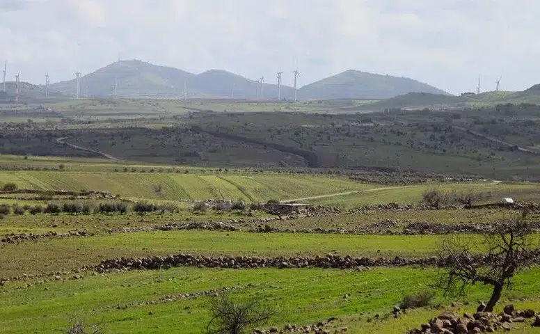 İsrail, Suriye'de binlerce dönümlük tarım alanını kimyasallarla zehirledi!