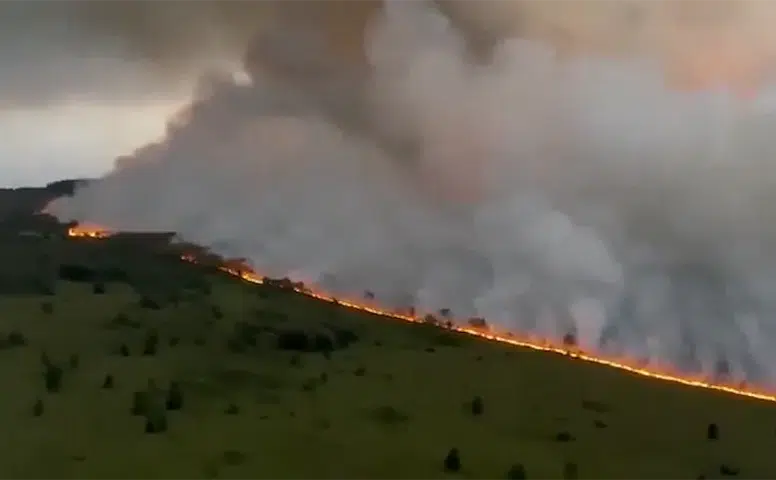 Belçika'daki dev orman yangınına çok uluslu müdahale