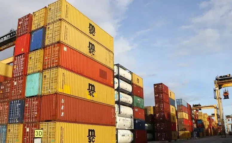 Dış ticarette Trakya imzası! Üç ilden 243 milyon dolarlık dev satış