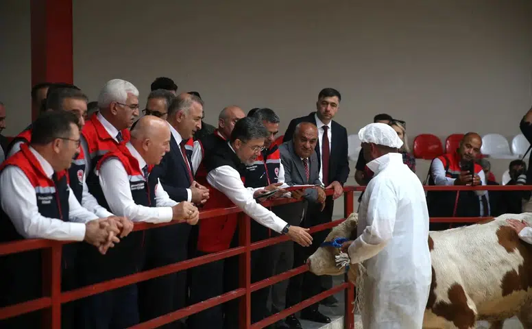 Hayvancılıkta aşı ve küpe ücretleri tamamen kaldırıldı