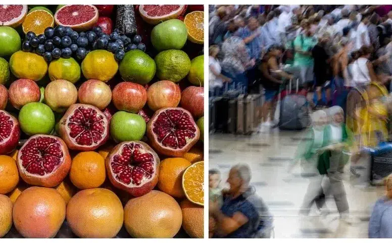 TÜİK ağustos raporunu açıkladı: Fiyatı en çok artan ve düşen ürünler