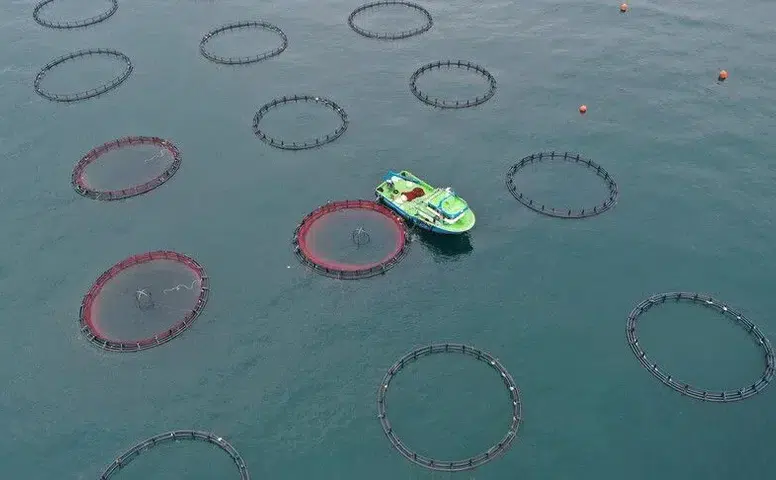 Türkiye’nin Çin’e su ürünleri satışı 18 milyon doları aştı!