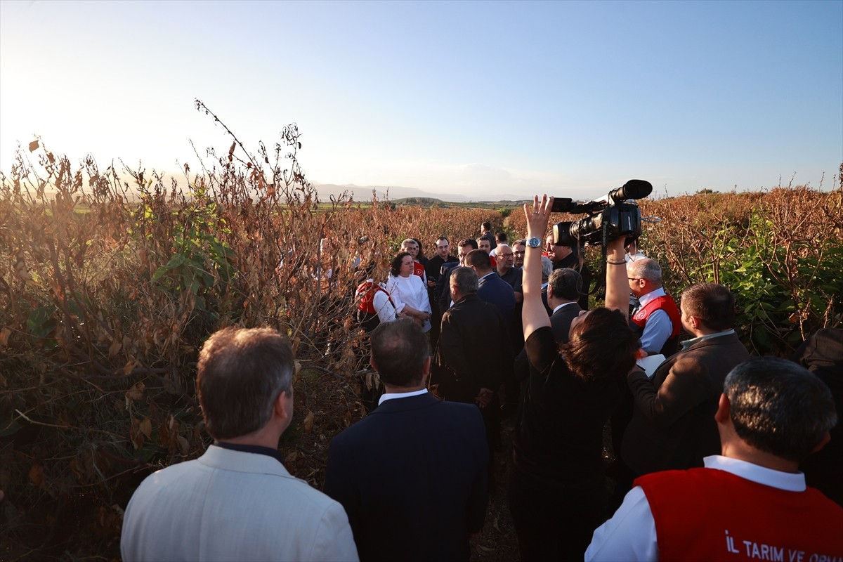 Türkiye Büyük Millet Meclisi (TBMM) Zirai Don Olayını Araştırma Komisyonu üyeleri, Mersin'de zirai...