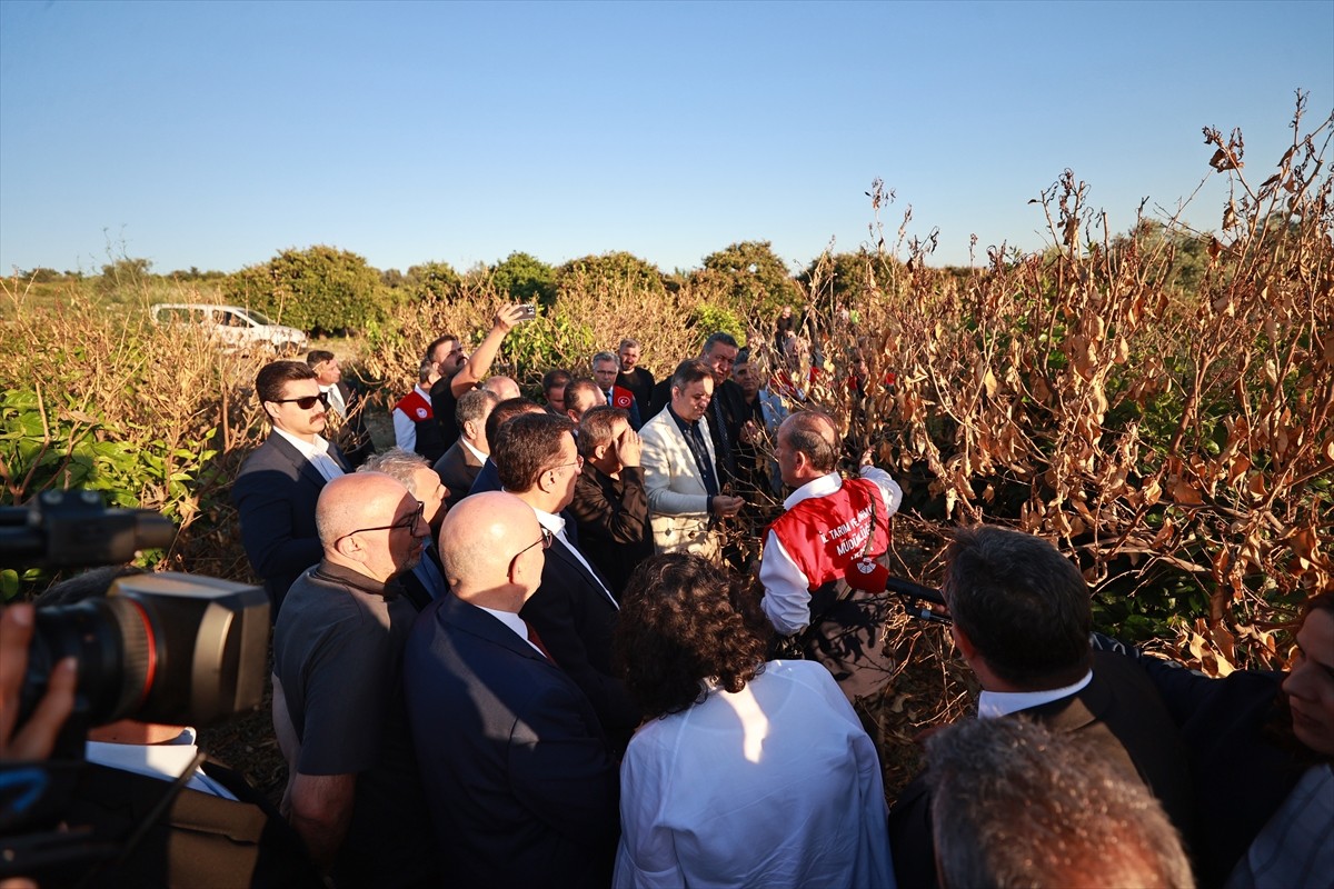 Türkiye Büyük Millet Meclisi (TBMM) Zirai Don Olayını Araştırma Komisyonu üyeleri, Mersin'de zirai...