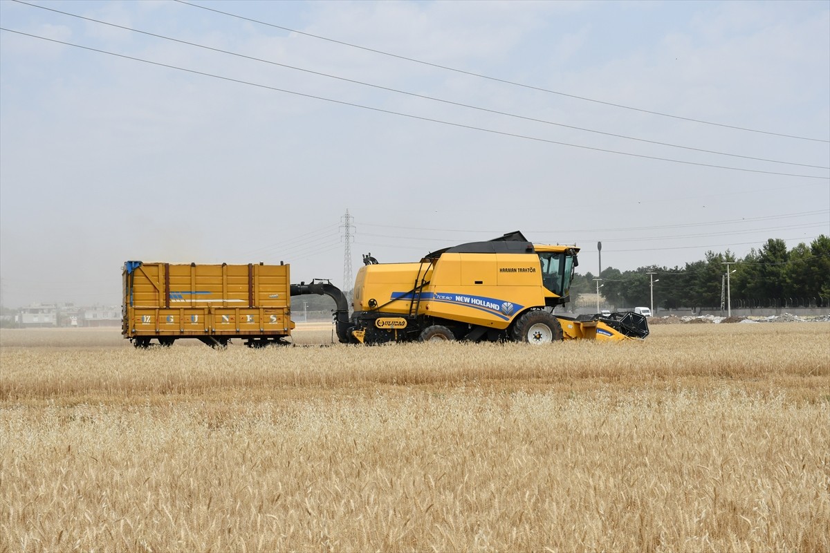 Tarım ve Orman Bakanı İbrahim Yumaklı, Batman merkeze bağlı Erköklü Mahallesi'nde düzenlenen...
