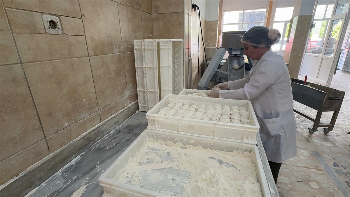 Giresun'un Bulancak ilçesinde yufka imalathanesi işleten iki çocuk annesi Nesrin Güngör, 7'si...