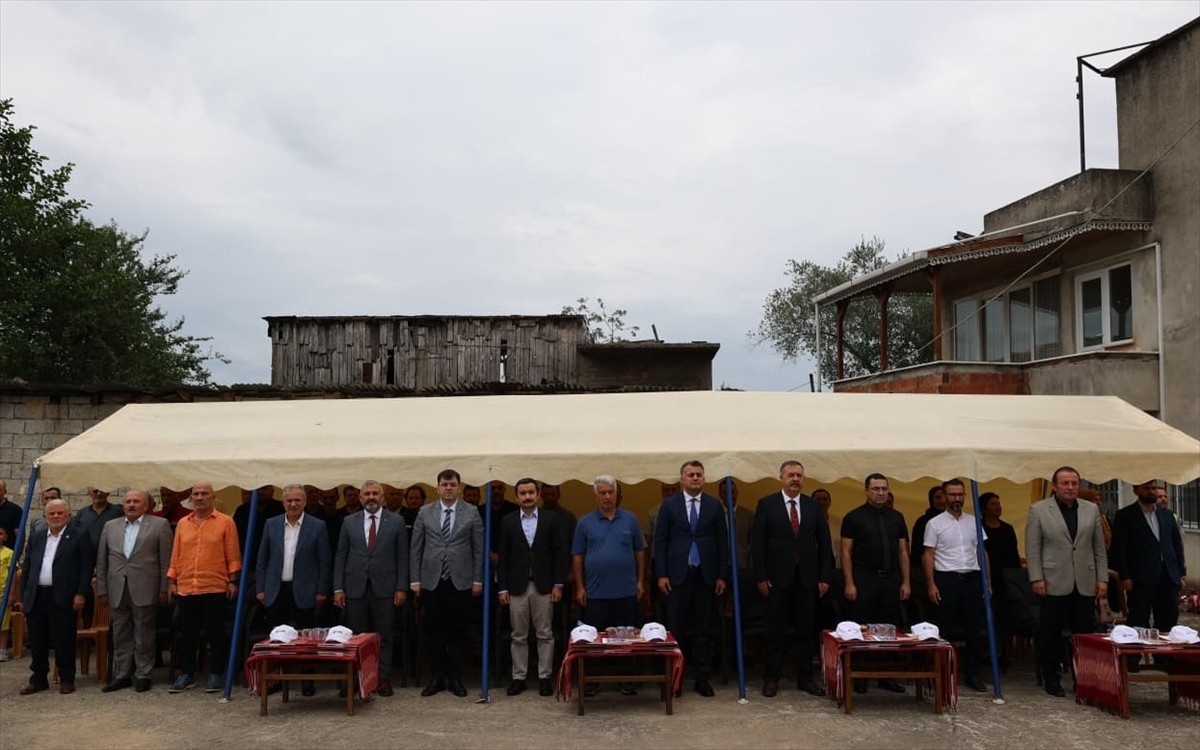 Trabzon'un Arsin ilçesinde yetiştirilen coğrafi işaret tescilli 