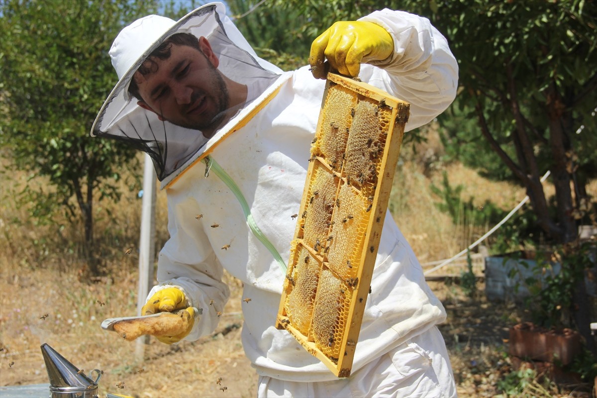 Sivas'ta coğrafi işaret tescilli 