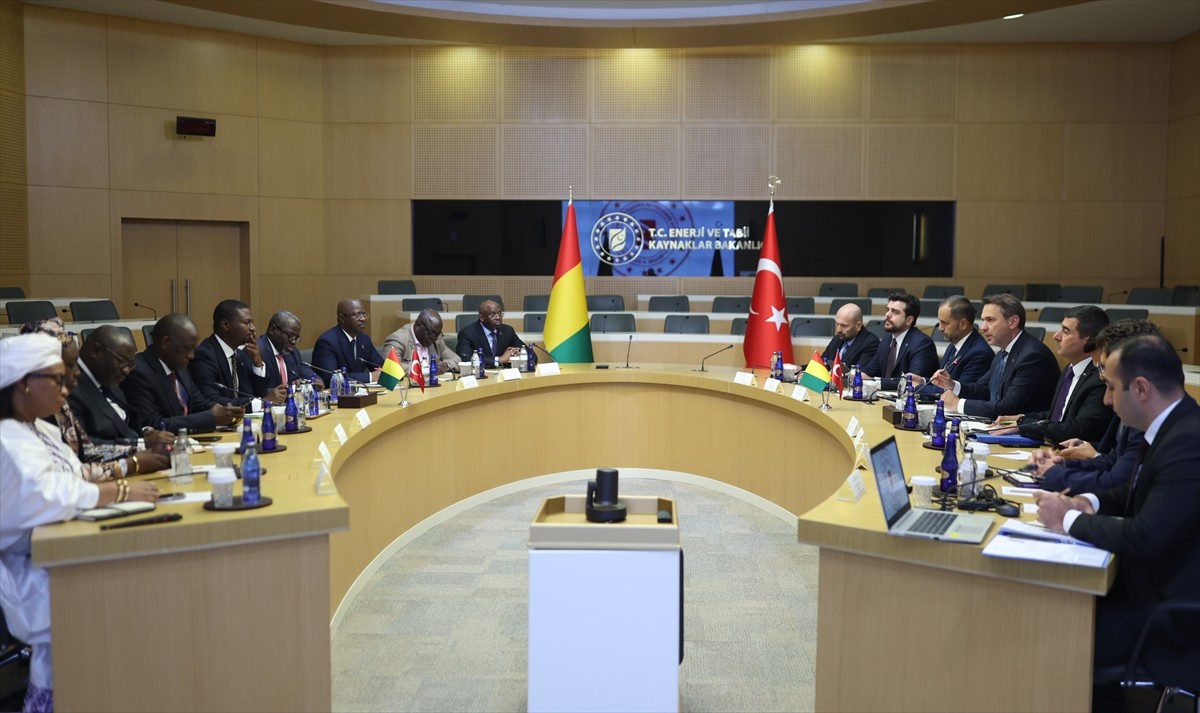 Enerji ve Tabii Kaynaklar Bakanı Alparslan Bayraktar, Gine Enerji Bakanı Namory Camara (solda)...