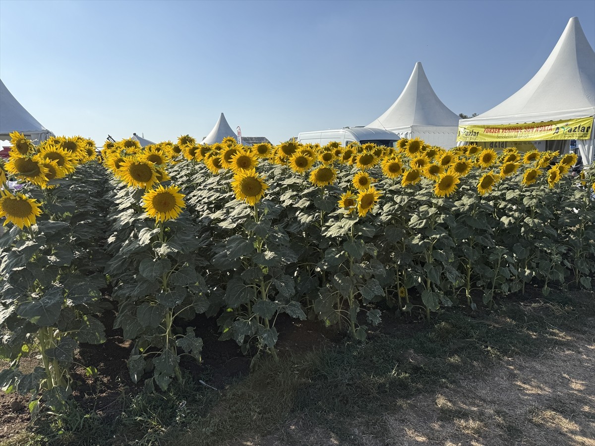 Tekirdağ'da 15. Tarım ve Teknoloji Günleri Fuarı düzenlenen törenle başladı. Süleymanpaşa ilçesi...