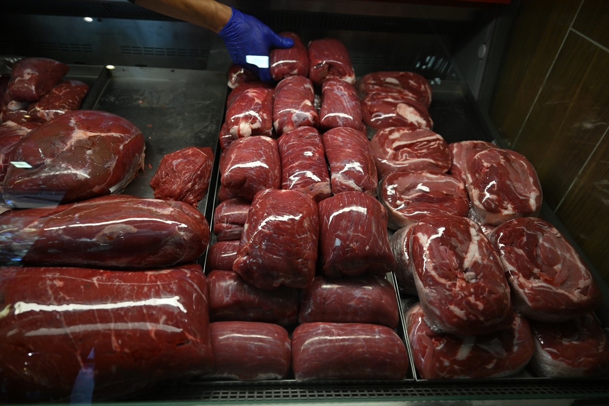 Gaziantep'te, Tarım ve Orman Bakanlığı gıda kontrol görevlileri ile belediyenin yaptığı...