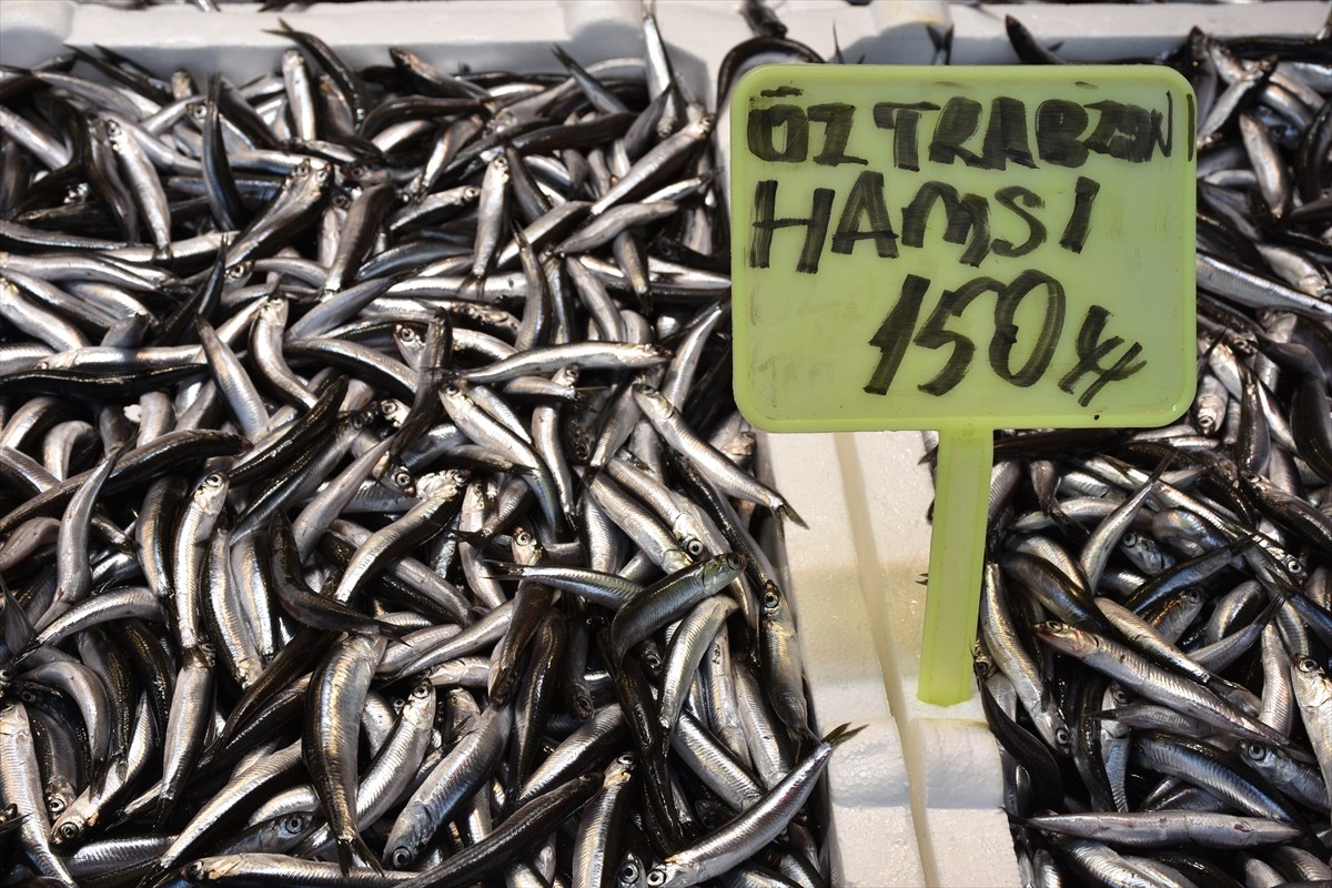 Trabzon'daki balıkçı tezgahlarında hamsi ve istavritin kilogramı 150 liradan satılıyor. Ortahisar...