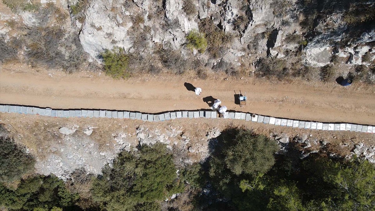 Muğla'nın Bodrum ilçesinde yaşayan Ahmet Yılmaz ile ziraat mühendisi oğlu Mehmet Yılmaz, ata...