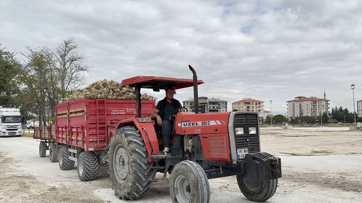 Burdur Şeker Fabrikası'nda 2025-2026 döneminde 560 bin ton pancardan yaklaşık 75 bin ton kristal...