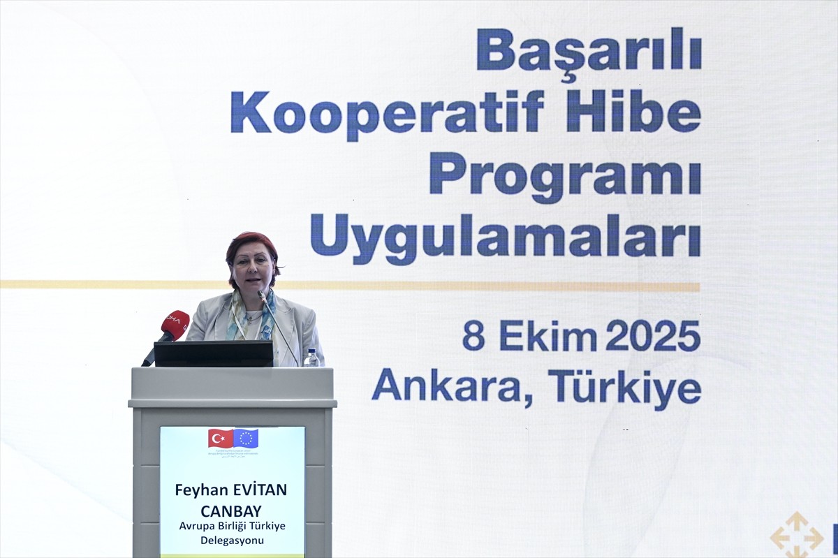 Avrupa Birliği (AB) tarafından finanse edilen, Sanayi ve Teknoloji Bakanlığı Kalkınma Ajansları...