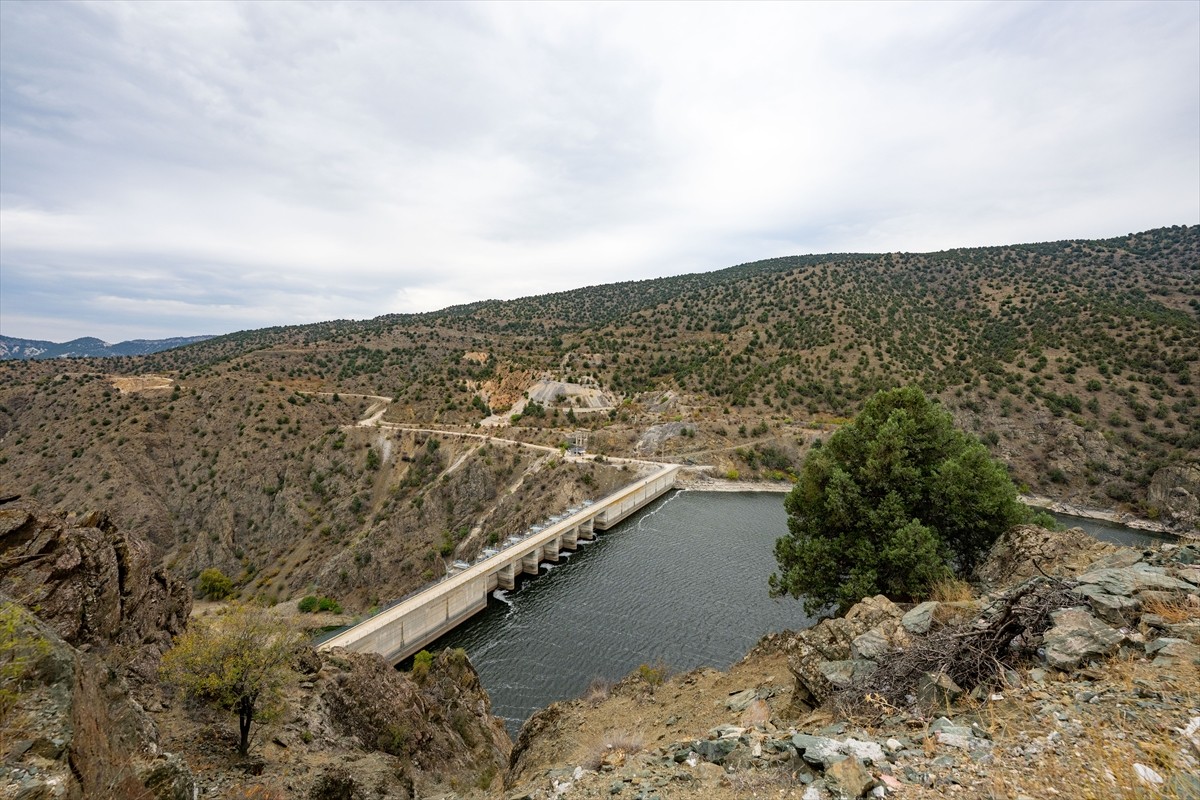 Türkiye Elektrik Sanayi Birliği (TESAB), Küresel Hidroelektrik Günü kapsamında Türkiye'nin ilk...