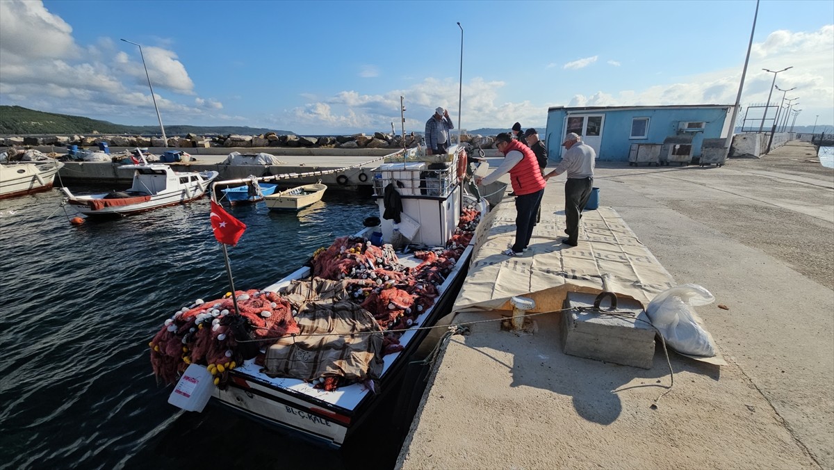 Çanakkale'nin Eceabat ilçesinde bir balıkçının lüfer avı için denize bıraktığı ağlara 1000 palamut...
