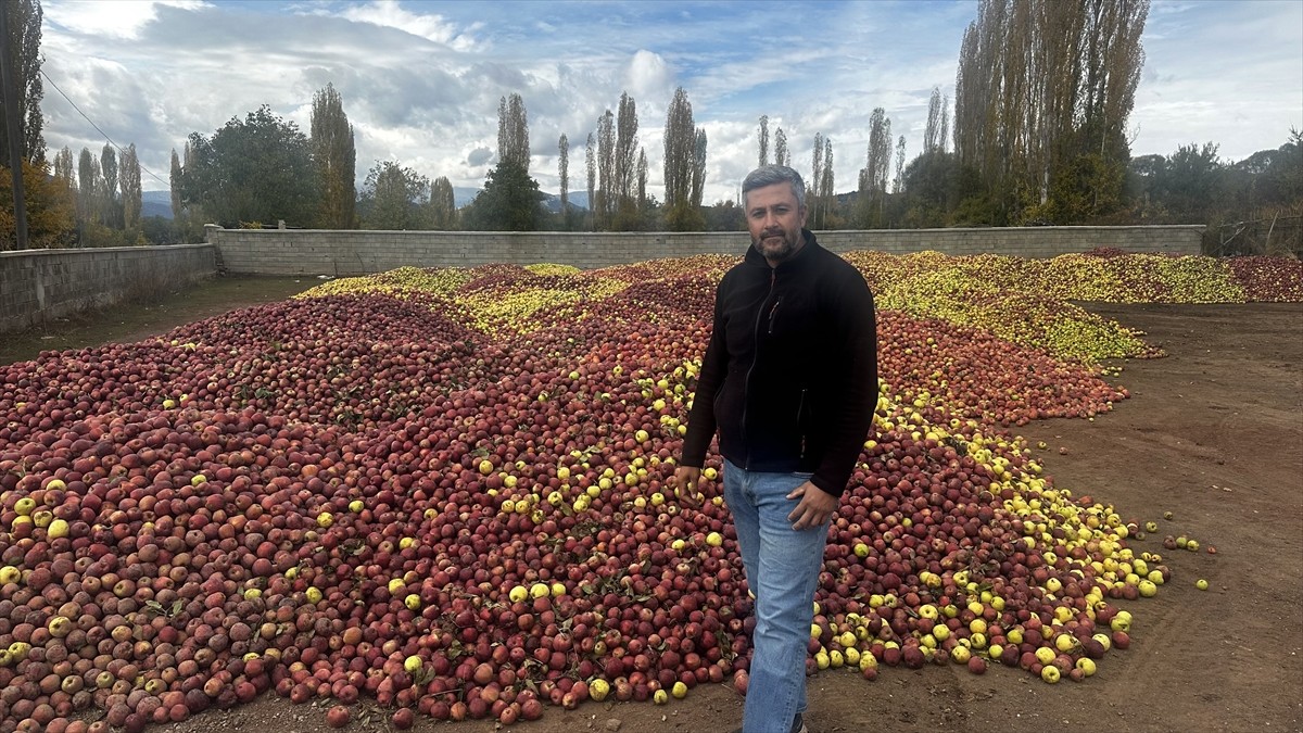 Türkiye'nin elma üretiminde ilk sırasında yer alan Isparta'da, yağışların az olması sebebiyle...