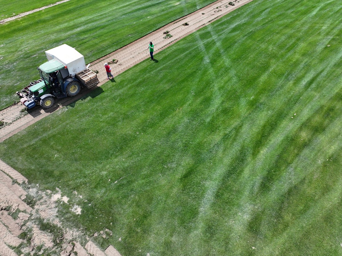 Edirne’nin İpsala ilçesine bağlı 900 nüfuslu Kumdere köyünde faaliyet gösteren rulo çim üretim...