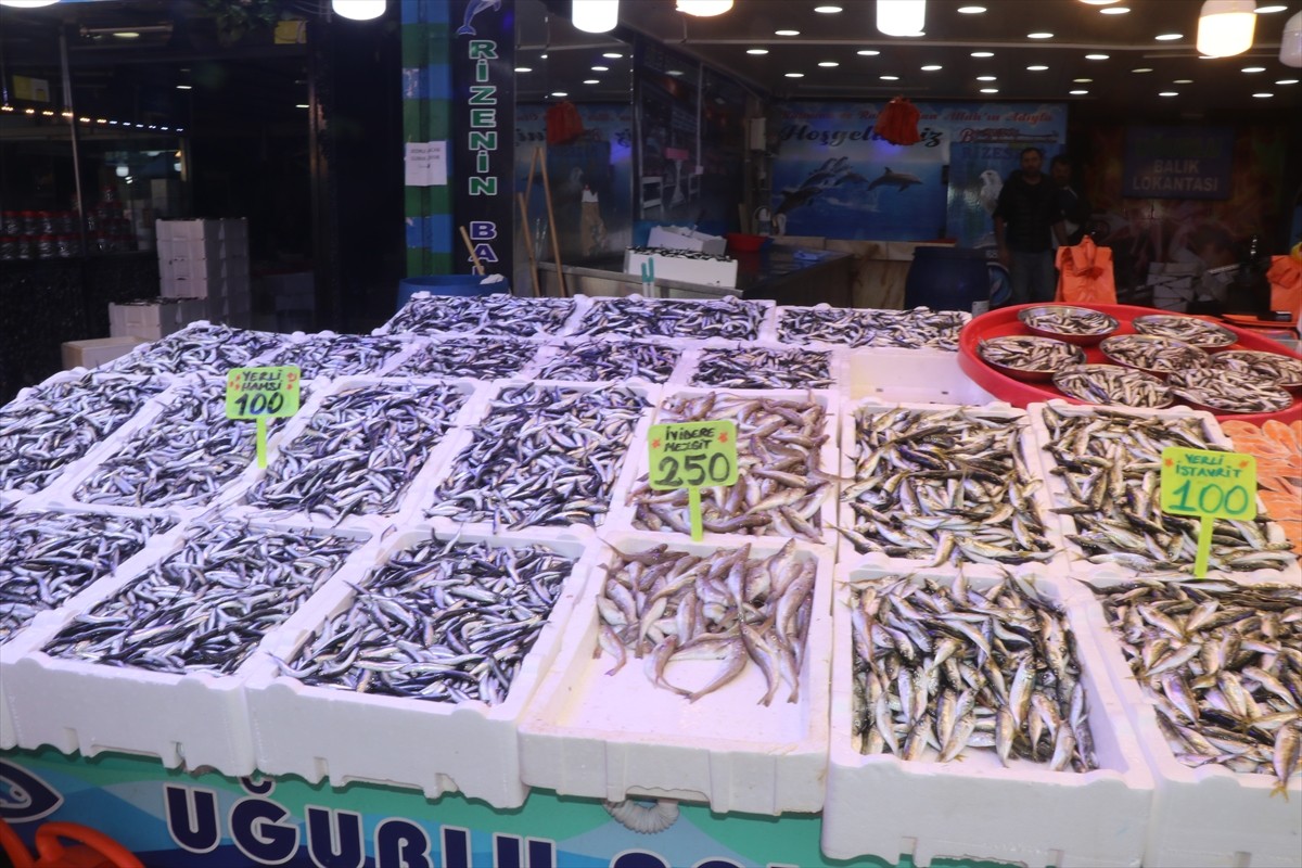 Rize'de hamsinin kilogramı 100 liradan satışa sunuldu. Vatandaşların en fazla hamsi talep ettiği...