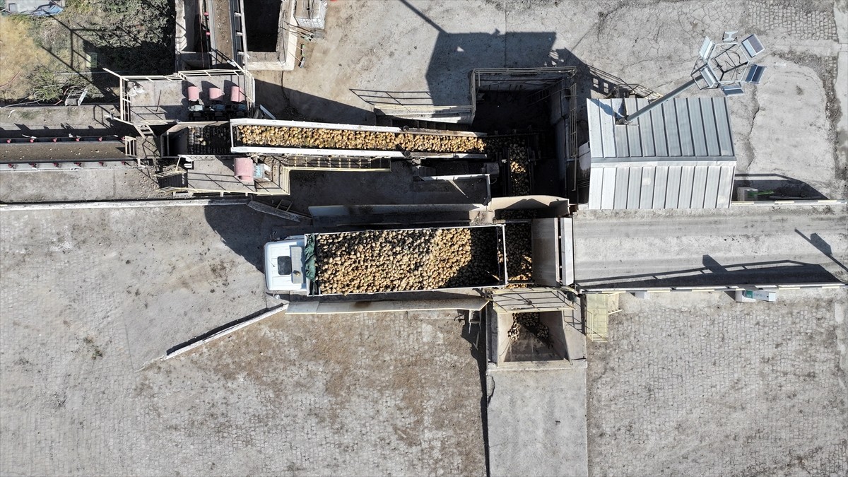 Kayseri Şeker, 2025-2026 kampanya döneminde pancarda 3 milyon 400 bin ton rekolte ve yaklaşık 475...