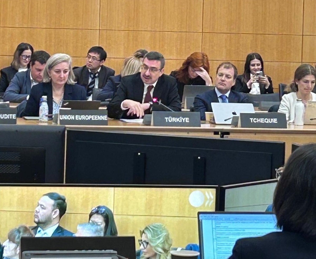 Sermaye Piyasası Kurulunun (SPK) ulusal eşgüdüm birimi sıfatıyla üyesi olduğu Kurumsal Yönetim...