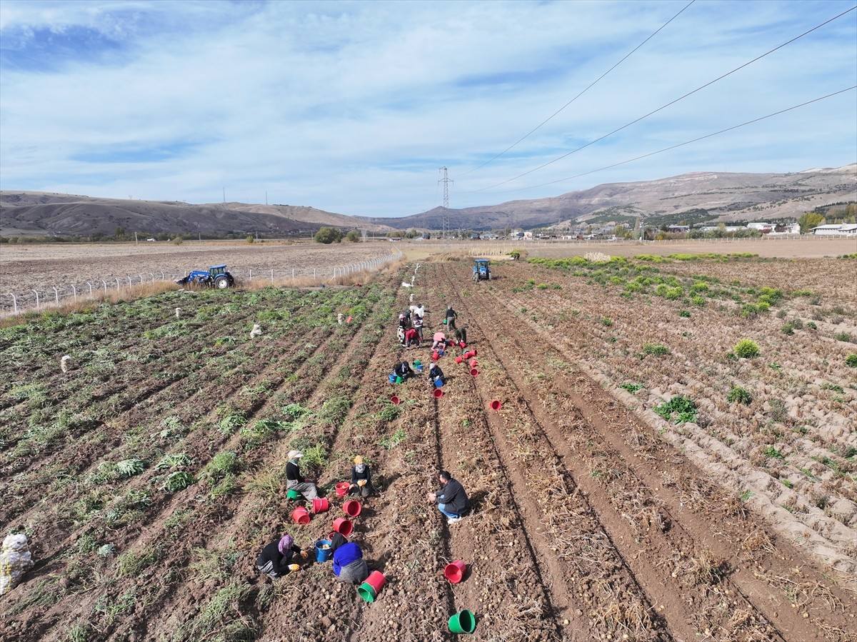 Sivas Bilim ve Teknoloji Üniversitesi Tarım Bilimleri ve Teknoloji Fakültesi bünyesindeki Tarımsal...