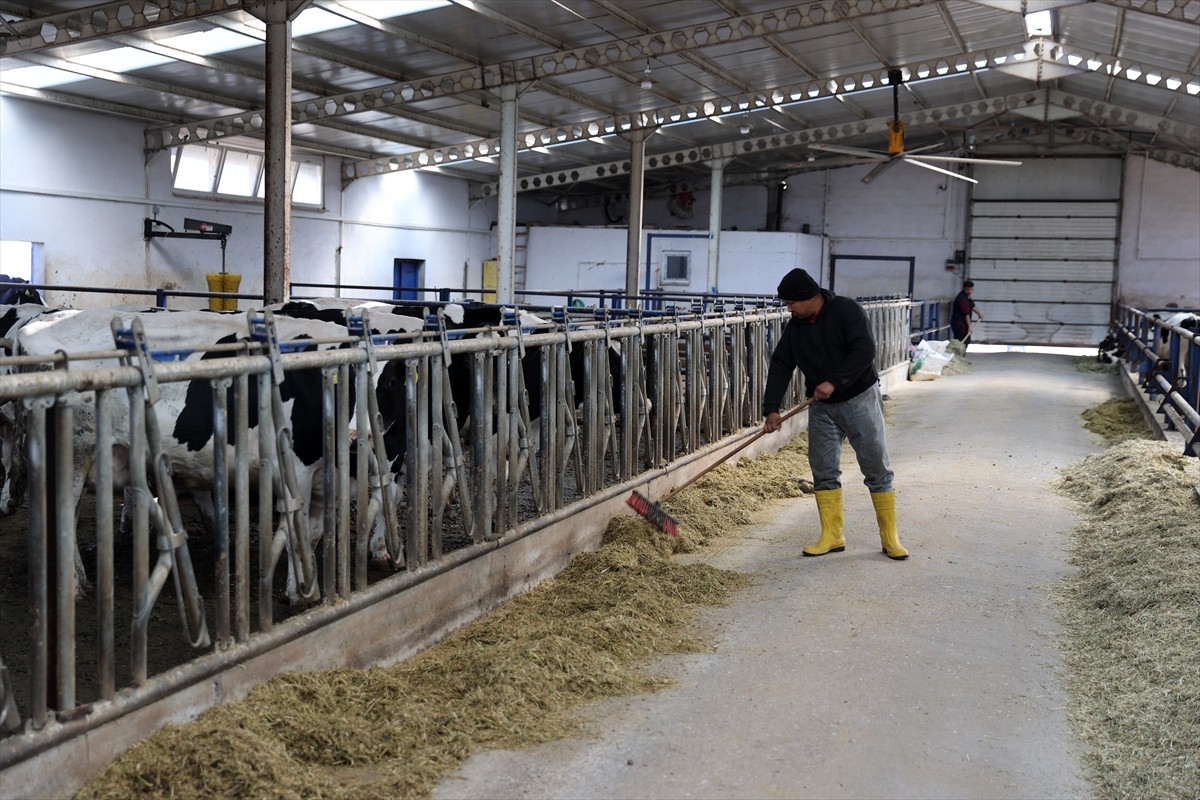 Sivas'ın Gemerek ilçesinde Tarım ve Kırsal Kalkınmayı Destekleme Kurumundan (TKDK) aldığı hibeyle...