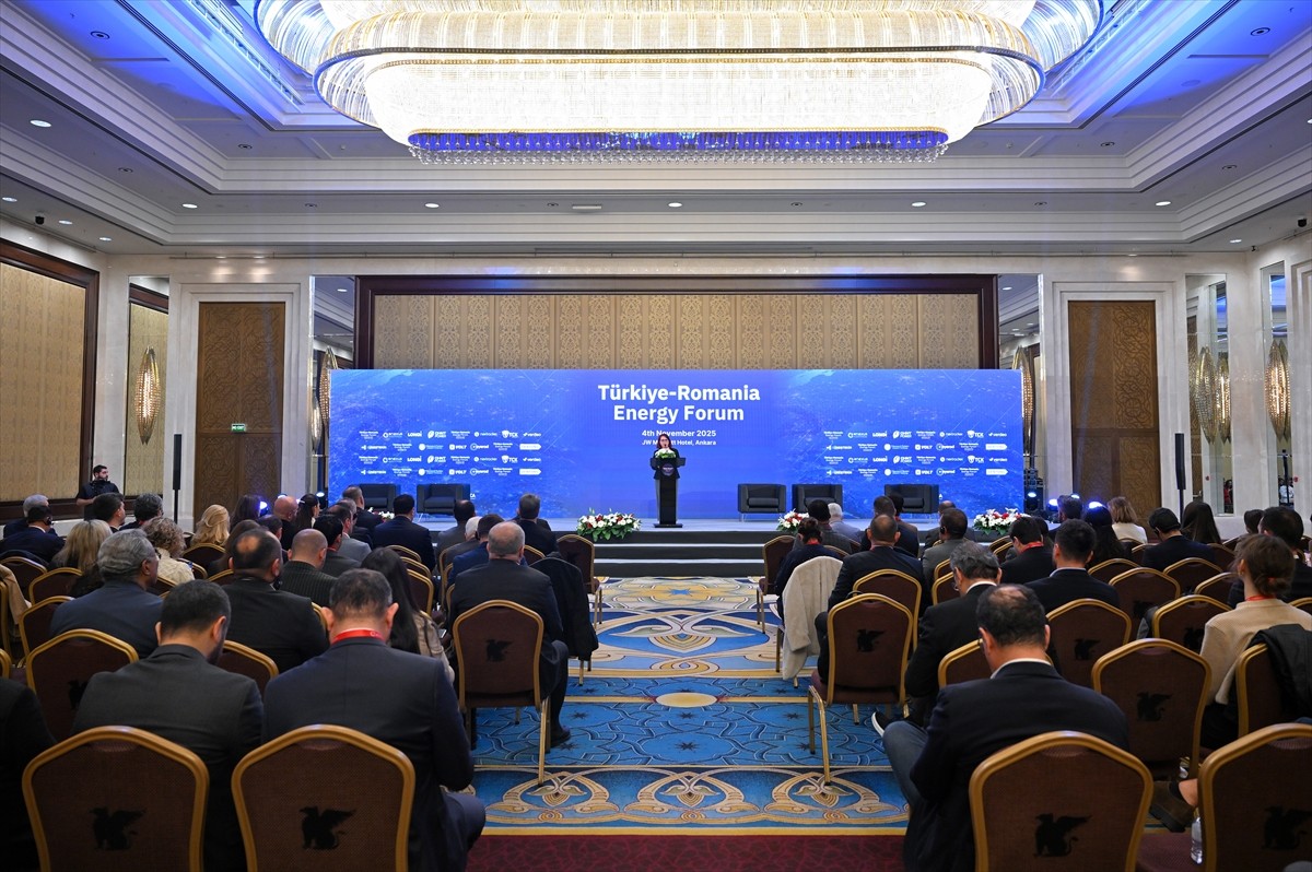 Türkiye Elektrik Sanayi Birliği (TESAB) Genel Sekreteri Ayten Sümer, Türkiye-Romanya Enerji...